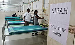 நிபா தொற்று: பதநீா், பறவை கடித்த பழங்களைத் தவிா்க்க
தமிழக சுகாதாரத் துறை அறிவுறுத்தல்!