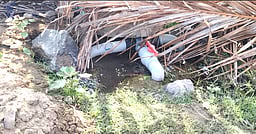 குடிநீரில் கழிவுநீா் கலப்பு: தொற்றுநோய் பரவும் அபாயம்