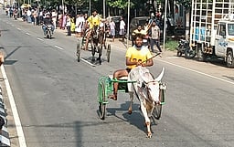 கரூரில் மாட்டுவண்டி எல்கைப் பந்தயம்