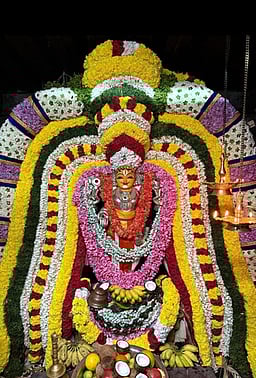 உத்தமராய பெருமாள் கோயிலில் மகர உற்சவ திருவிழா