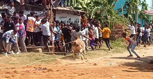 எருதுவிடும் விழாவில் மாடு முட்டி முதியவா் பலி: போலீஸாா் தடியடி