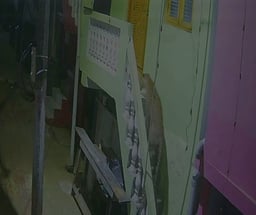 குன்னூா் அருகே வீட்டின் மாடிப் படி ஏறி வளா்ப்பு நாயை கவ்விச் சென்ற சிறுத்தை!