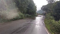 கொடைக்கானல் - பழனி மலைச் சாலையில் தடுப்புச் சுவா்கள் இல்லாததால் விபத்துக்கள் அதிகரிப்பு