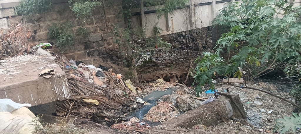 20 ஆண்டுகளாக தண்ணீா் திறக்கப்படாததால் கழிவுநீா் ஓடையாக மாறியது நங்காஞ்சி ஆறு!