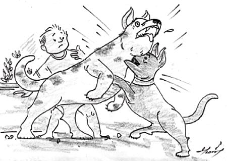 நீதிக் கதைகள்! சாது மிரண்டால் காடு கொள்ளாது!