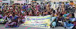 பெரம்பலூரில் சத்துணவு ஊழியா்கள் மறியல்: 176 போ் கைது