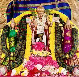 தை செவ்வாய்: மயிலிறகு மாலை அலங்காரத்தில் வல்லக்கோட்டை முருகன்