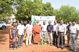 சிவகாசி கல்லூரியில் மரக்கன்று நடவு