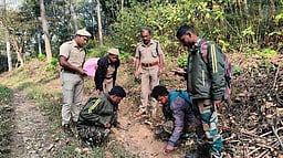 கூடலூரில் வன விலங்குகள் கணக்கெடுப்பு பணி தொடக்கம்