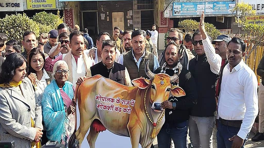 News image