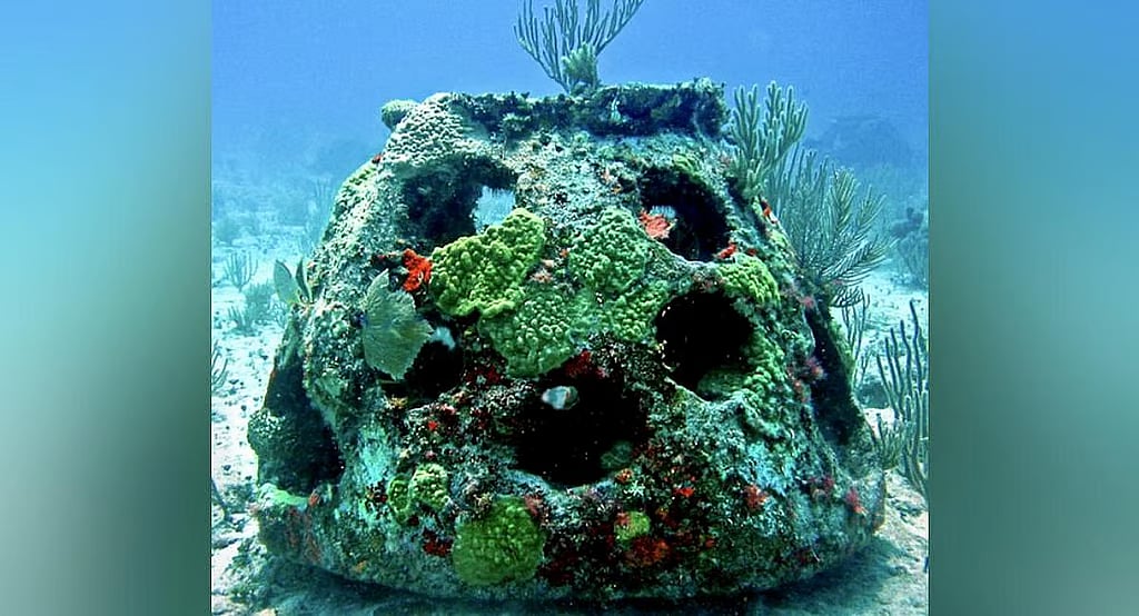 மீன்வளத்தை பெருக்க கடலுக்குள் செயற்கை பவளப் பாறைகள் உருவாக்கும் திட்டம் தொடக்கம்