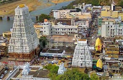 ராகு - கேது தோஷம் நீக்கும் ஸ்ரீ காளஹஸ்தி... ஜோதிட வல்லுநர் ஏ.எம்.ஆர். சொல்வதென்ன?