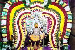 பெரியாயி அம்மன் கோயிலில் வருஷாபிஷேக விழா