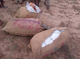 பாசிபட்டினம் கடற்கரையில் கஞ்சா மூட்டைகள் பறிமுதல்