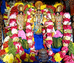 பாண்டமங்கலம் பிரசன்ன வெங்கட்ரமண சுவாமி
கோயில் தோ்த் திருவிழா