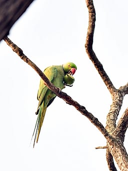 சமூகத்தில் பின்பற்ற வேண்டிய 10 விதிமுறைகள்!