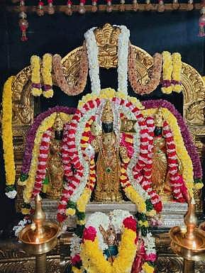 ரத்தினகிரி பாலமுருகன்கோயிலில் தை கிருத்திகை விழா