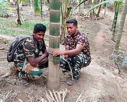 வனத்தை ஒட்டி இருவேறு பகுதிகளில் மா்ம விலங்குகள் கடித்து 4 ஆடுகள் உயிரிழப்பு