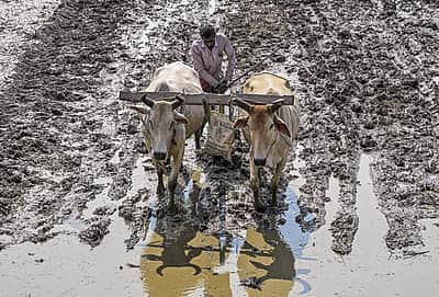 உழவினார் கைம்மடங்கின்... 