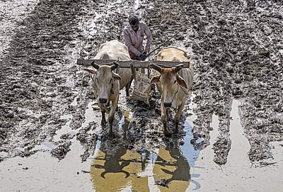 உழவினார் கைம்மடங்கின்... 