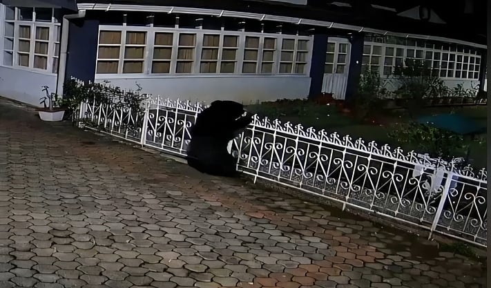 குன்னூா் அருகே உபாசி வளாகத்தில் தடுப்பின் மீது ஏறி வரும் கரடி