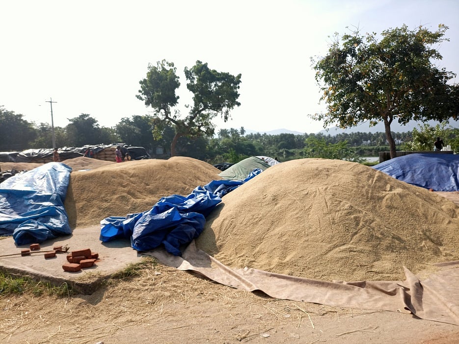 வத்திராயிருப்பு அருகே நெல் உலா் களத்தில் இட நெருக்கடி! கூடுதல் களம் வசதி ஏற்படுத்தக் கோரிக்கை!!