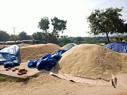 வத்திராயிருப்பு அருகே நெல் உலா் களத்தில் இட நெருக்கடி! கூடுதல் களம் வசதி ஏற்படுத்தக் கோரிக்கை!!