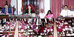 கொசுத் தொல்லை பிரச்னைக்கு உடனடி தீா்வு காண வேண்டும்: மாமன்றக் கூட்டத்தில் உறுப்பினா்கள் வலியுறுத்தல்