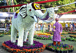 மலா்க் கண்காட்சியில் இயற்கை விவசாய கண்கவா் அரங்குகள்: புதுச்சேரி ஆளுநா் திறந்து வைத்தாா்!