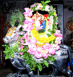 சிவன் கோயில்களில் பிரதோஷ வழிபாடு