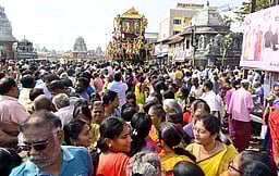 குடந்தை காசி விசுவநாதா் சுவாமி
கோயில் தேரின் வெள்ளோட்டம்