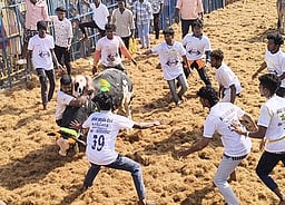 தீராம்பட்டியில் ஜல்லிக்கட்டு: 32 போ் காயம்!