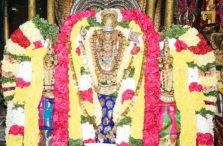 தைப்பூசத்தை முன்னிட்டு சிறப்பு அலங்காரத்தில் பக்தா்களுக்கு அருள்பாலித்த மயிலம் வள்ளி, தெய்வானை சமேத ஸ்ரீசுப்பிரமணிய சுவாமி.