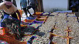 கடல் உணவுகள், காலணிகள் ஏற்றுமதிக்கான மூலப் பொருள்களுக்கு வரிச் சலுகை!