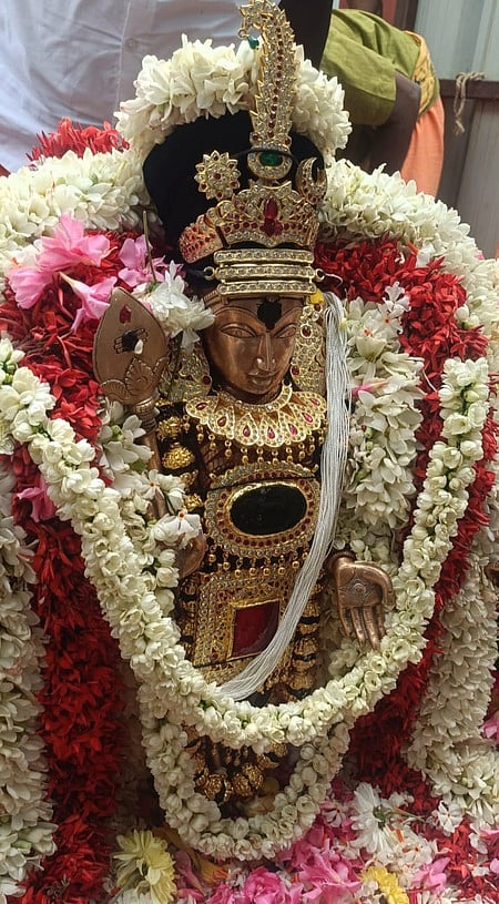 பவானியில் பழனிஆண்டவா் 
கோயில் தைப்பூசத் தேரோட்டம்