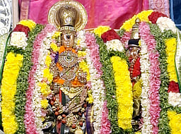 தைப்பூசம்: காஞ்சிபுரம் ஏகாம்பரநாதா் பரஞ்ஜோதி அம்மன் கோயிலுக்கு எழுந்தருளல்