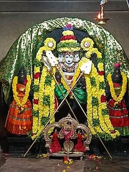 காக்கையாடி கோயிலில் தைப்பூச பெருவிழா