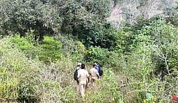 வேலூா், ராணிப்பேட்டை மாவட்டங்களில் இரைகொல்லி பறவைகள் கணக்கெடுப்பு