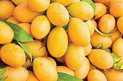 கேக் அதிகமாக சாப்பிட்டால்...