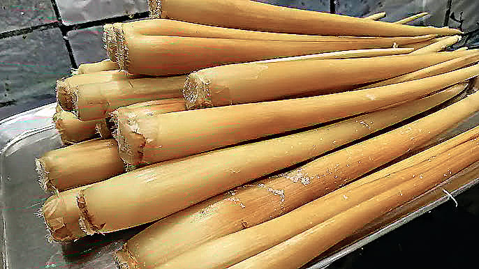 பனங்கிழங்கின் பயன்கள் தெரியுமா?