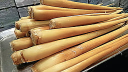 பனங்கிழங்கின் பயன்கள் தெரியுமா?