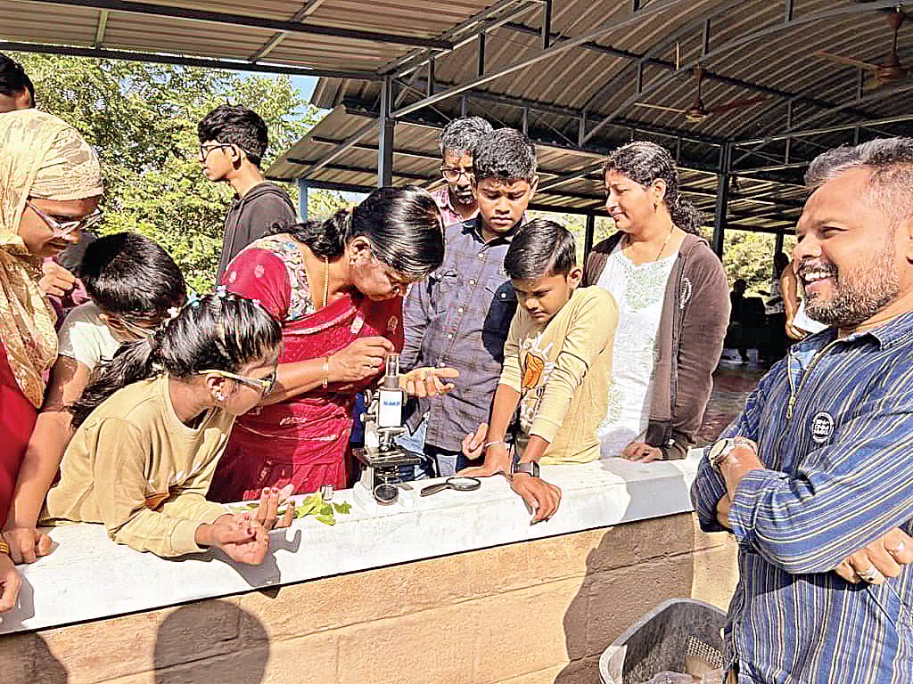 தாவரங்களைப் பற்றிய அறிவும் விழிப்புணர்வும் தேவை!