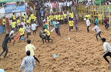 மலையக்கோவில் ஜல்லிக்கட்டில் 43 போ் காயம்