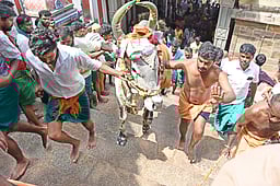 பழனி மலையில் கோயில் காளையுடன் படியேறிய பக்தா்கள்!