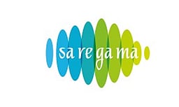 சரிகம இந்தியா லாபம் 17.8% சரிவு!