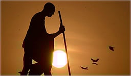 ஆஸ்திரேலியாவில் மகாத்மா காந்தியின் சிலை திருட்டு! இந்தியா கண்டனம்! 