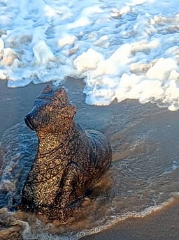 கடற்கரையில் வீசப்பட்ட 2 சுவாமி சிலைகள் மீட்பு: போலீஸாா் விசாரணை