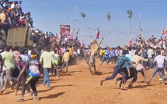 சூளகிரி அருகே எருதுவிடும் விழா