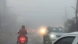 கொடைக்கானலில் பனிப் பொழிவு அதிகரிப்பு