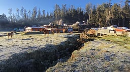 உதகையில் பூஜ்ஜிய டிகிரி வெப்பநிலை